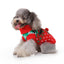 Jolly Reindeer Pooch Sweater