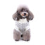 Pawfect Cozy Knit Dog Sweater