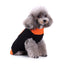 Pumpkin Patch Dog Sweater
