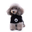 Spooky Skulls Dog Sweater