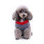 Elf Dog Sweater