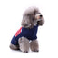 Patriotic Stars Dog Sweater