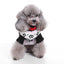 Winter Wonderland Dog Sweater