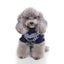 Winter Waves Dog Sweater