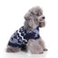 Winter Waves Dog Sweater