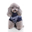 Winter Waves Dog Sweater