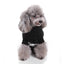 Anchor Paws Dog Sweater