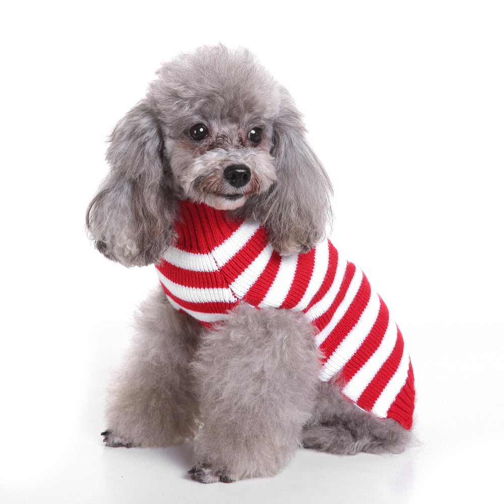 The Candy Cane Dog Sweater