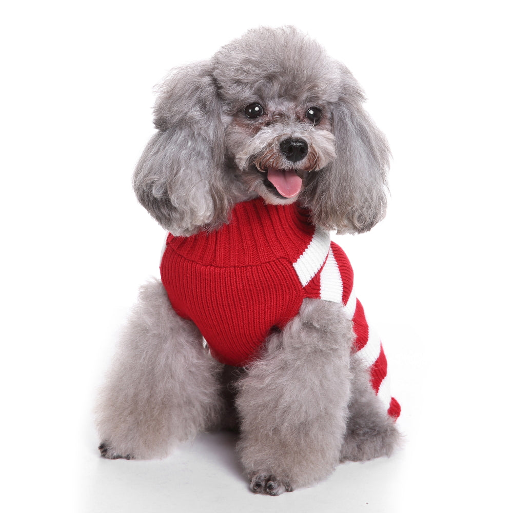 Rudolph's Stripes Dog Sweater