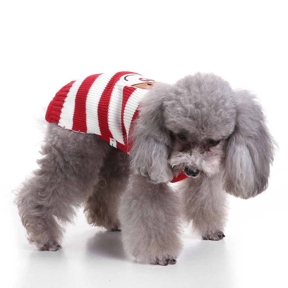 Rudolph's Stripes Dog Sweater