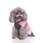Pinky Pom Pom Dog Sweater