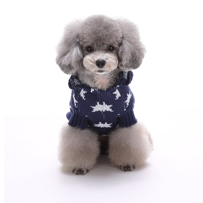 Starry Paw Hoodie