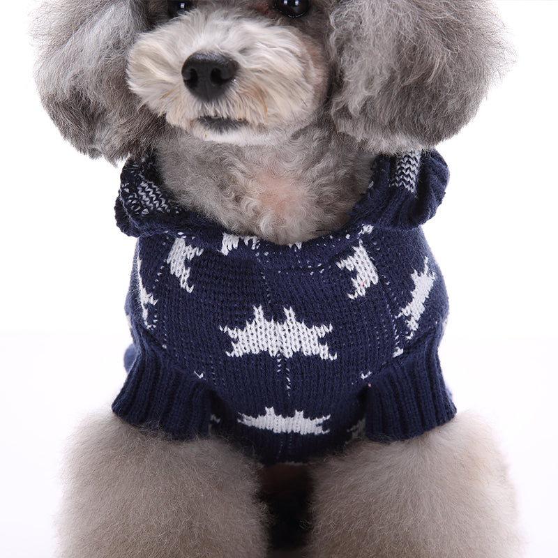 Starry Paw Hoodie