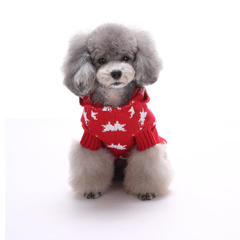 Starry Paw Hoodie