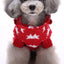 Starry Paw Hoodie