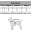 Classic Waterproof Dog Raincoat