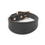 Premium Wide Leather Dog Collar