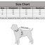 Two-Tone Waterproof Dog Raincoat